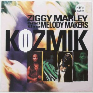 Ziggy Marley And The Melody Makers-0