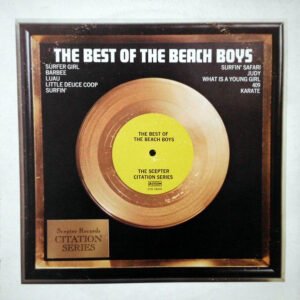 The Beach Boys-0