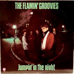 The Flamin' Groovies - Jumpin' In The Night
