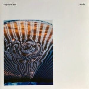 Elephant Tree - Habits