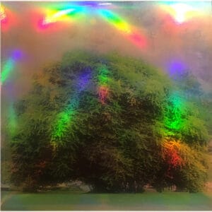 Yo La Tengo-0